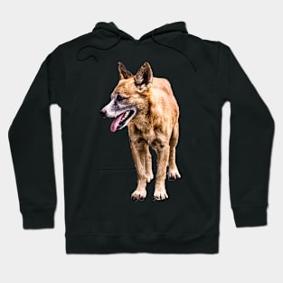 little dog Hoodie